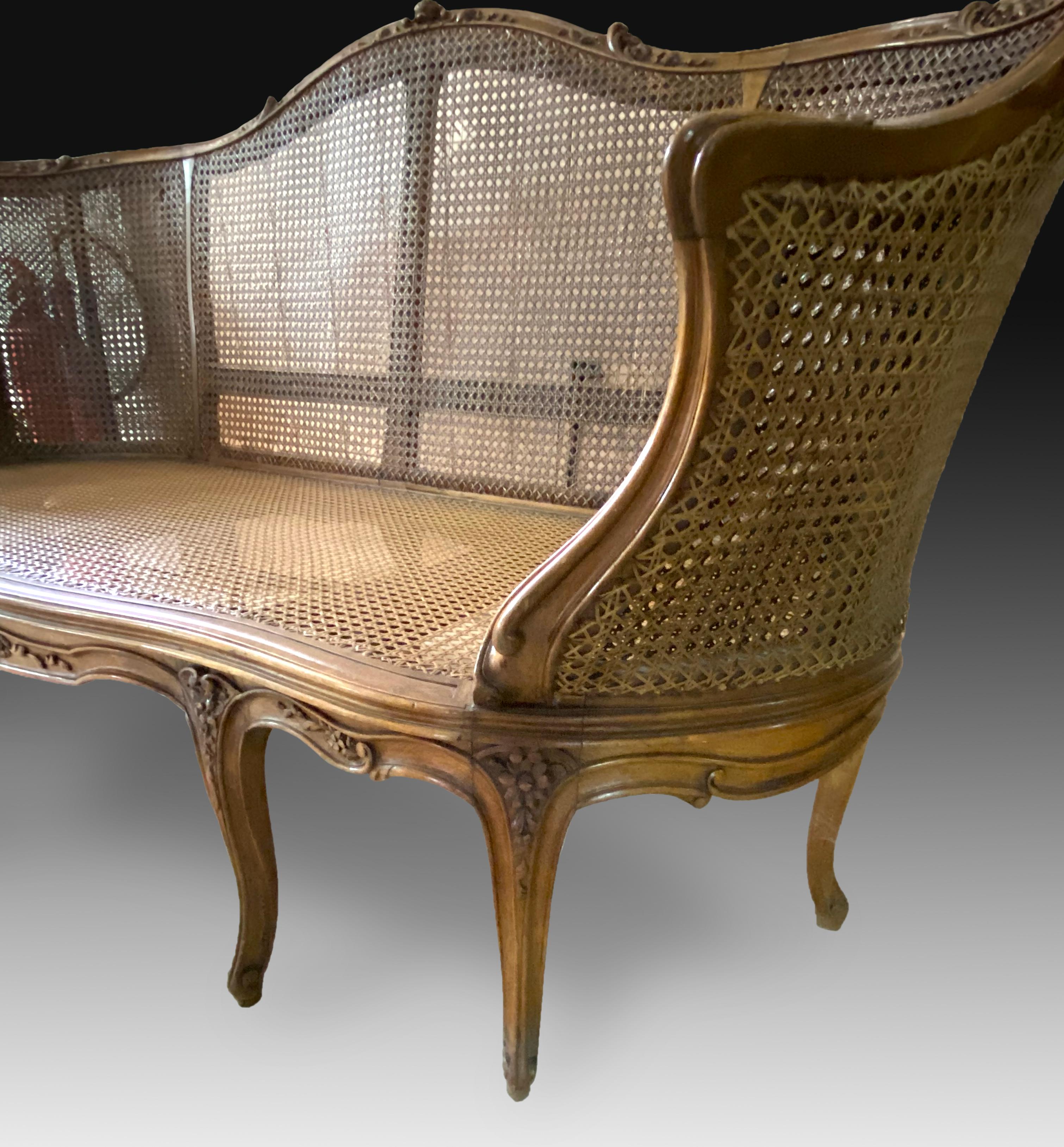 Neoclassical Louis XV Style Sofa, Walnut, Cane Paneled or Canning, 19th Century