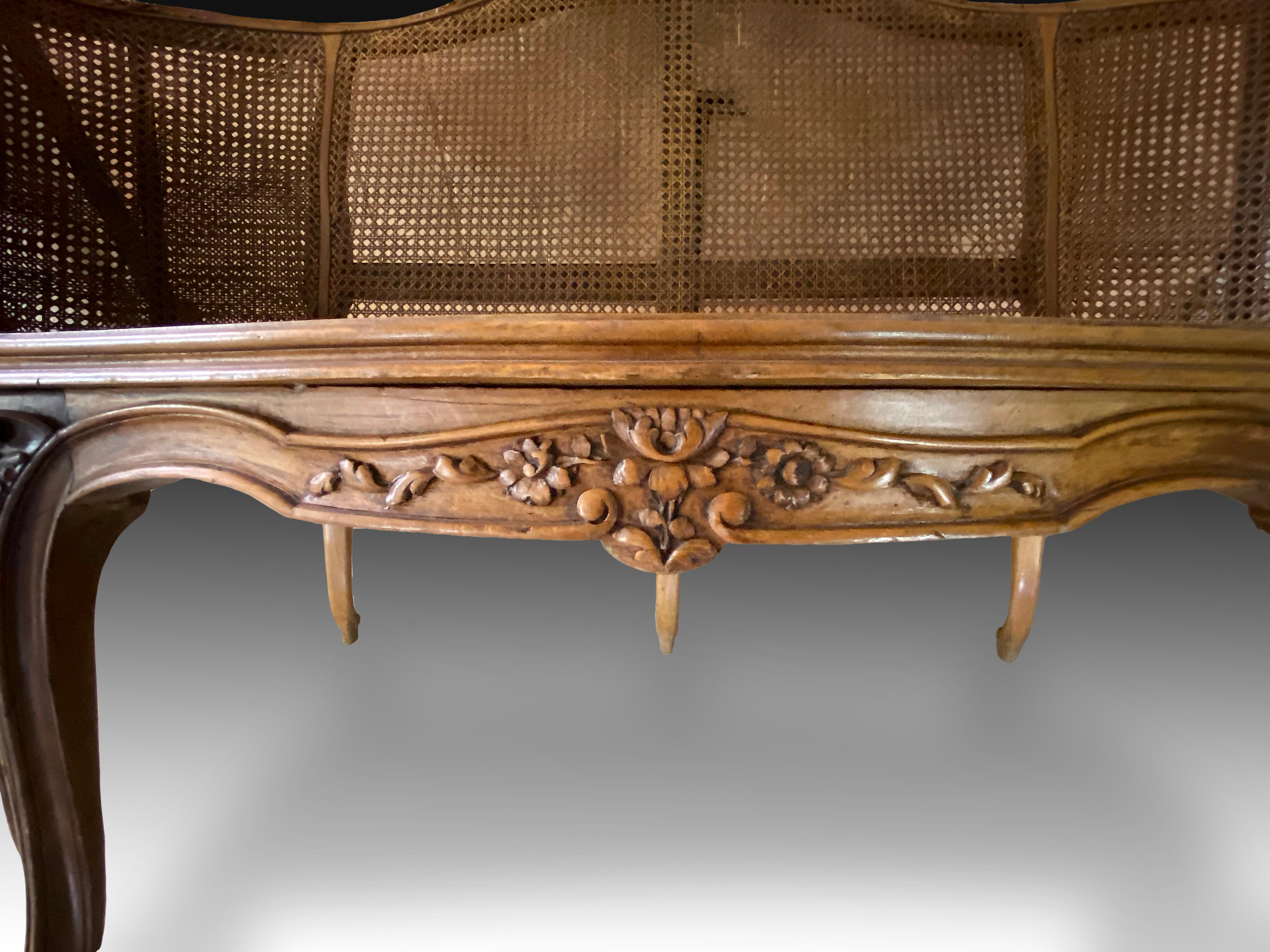 European Louis XV Style Sofa, Walnut, Cane Paneled or Canning, 19th Century