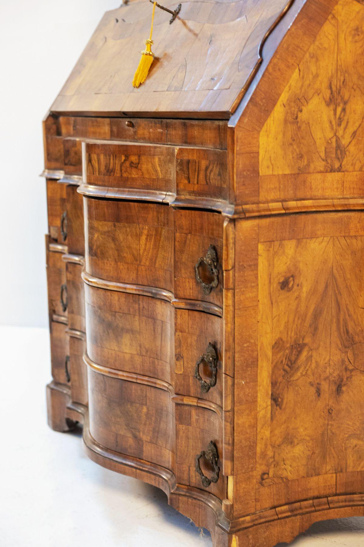 Louis XV Style Walnut Root Cabinet 19th Century For Sale 1