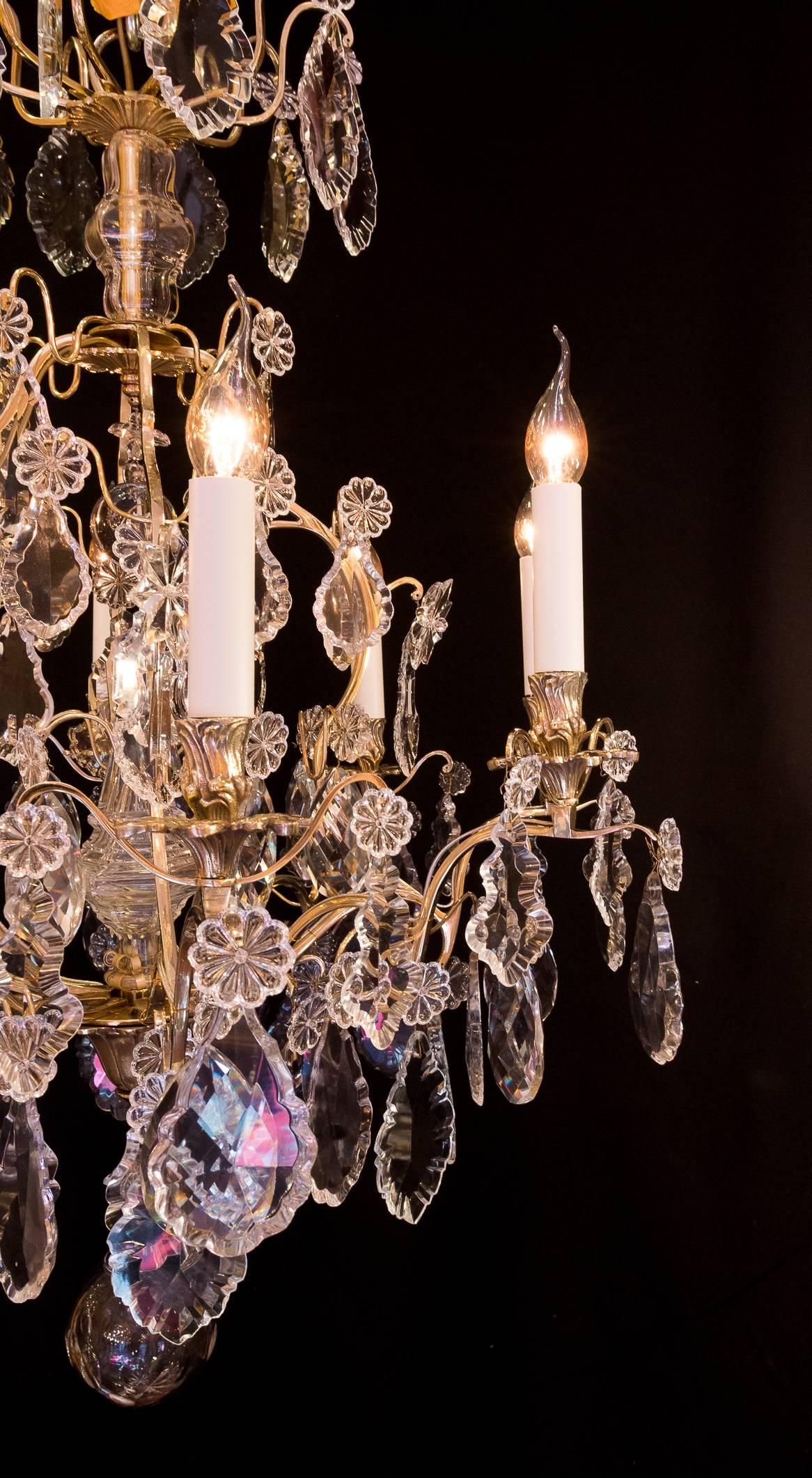 Louis XV Style, French Mid-20th Century, Bronze & Crystal Chandelier, circa 1950 6