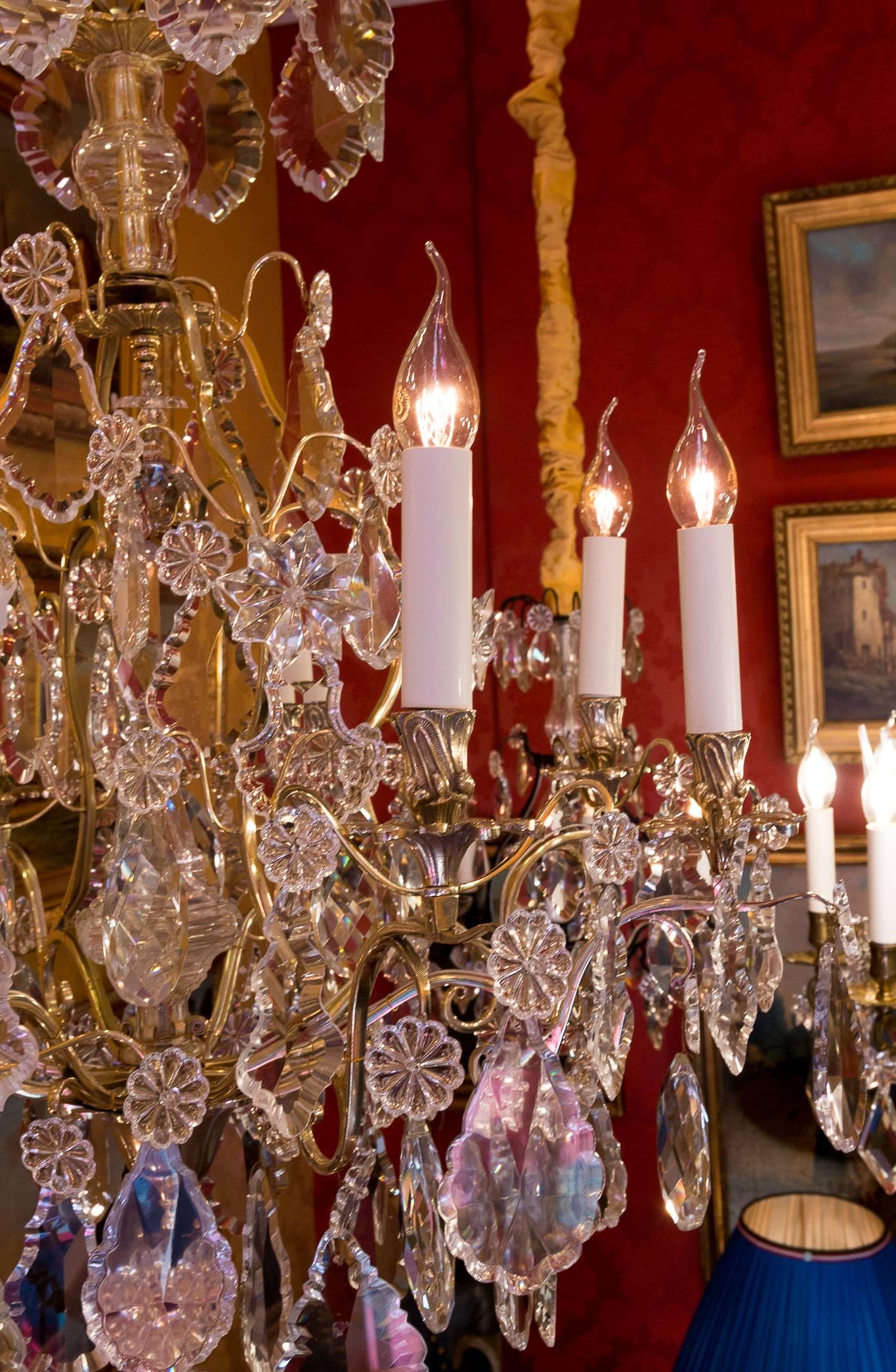 Louis XV Style, French Mid-20th Century, Bronze & Crystal Chandelier, circa 1950 13