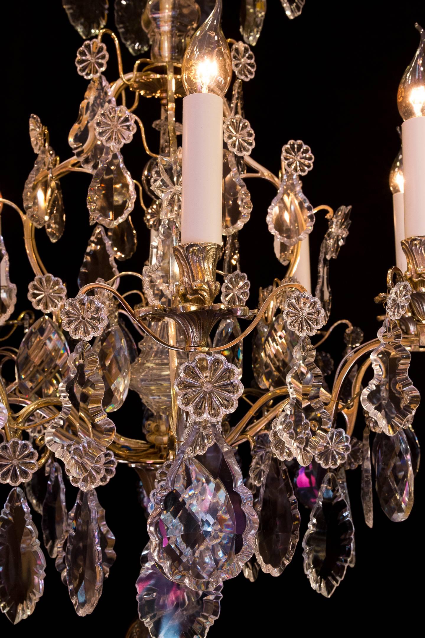 Louis XV Style, French Mid-20th Century, Bronze & Crystal Chandelier, circa 1950 4