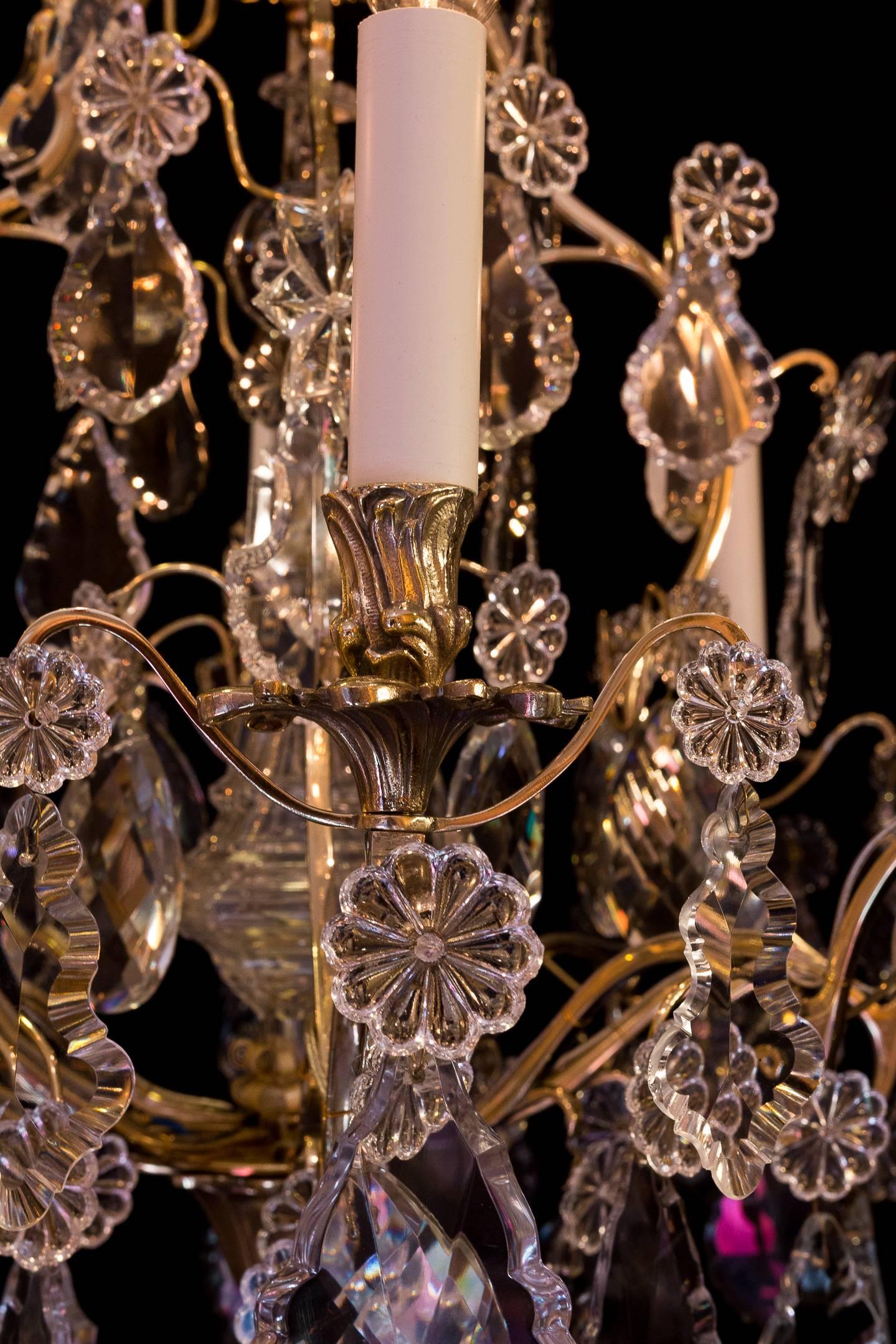 Louis XV Style, French Mid-20th Century, Bronze & Crystal Chandelier, circa 1950 5