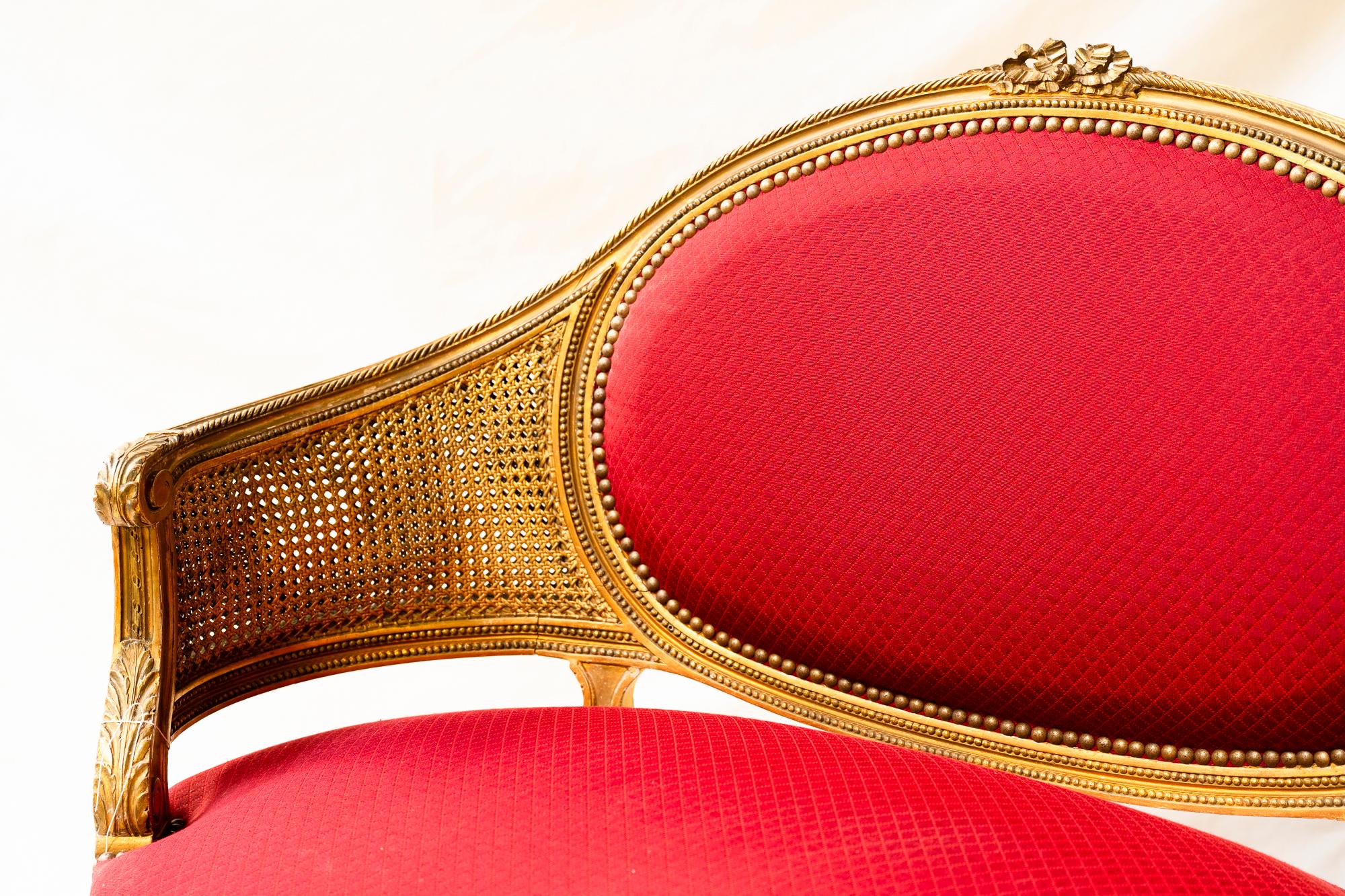 Louis XVI Caned and Red Fabric Canapé en Corbeille For Sale 3
