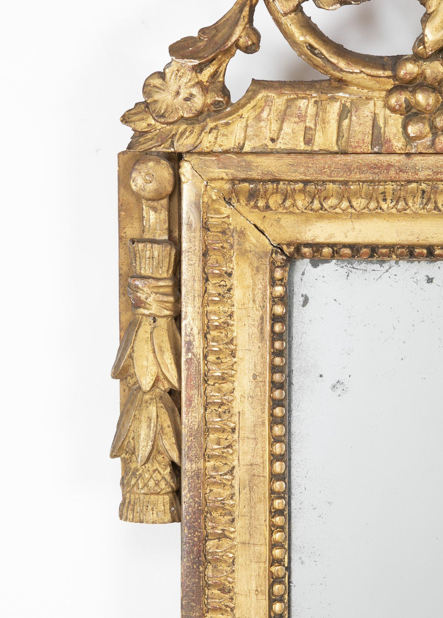 Louis XVI Carved Gilt Mirror 1
