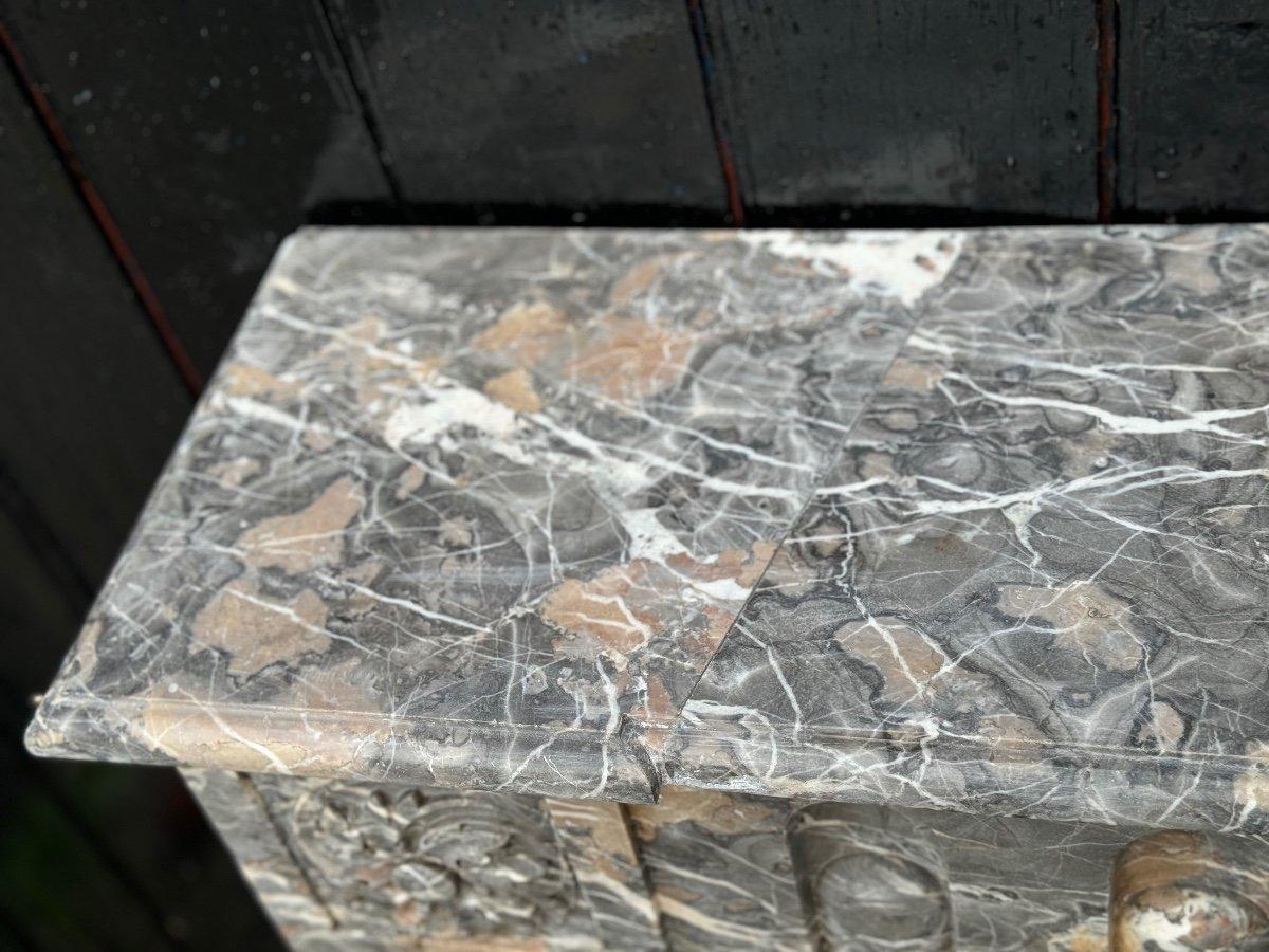 Louis XVI Fireplace In Gray Ardennes Marble, 18th Century For Sale 5