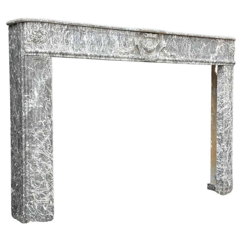 Louis XVI Fireplace In Gray Marble Saint Anne, Eighteenth Century For Sale