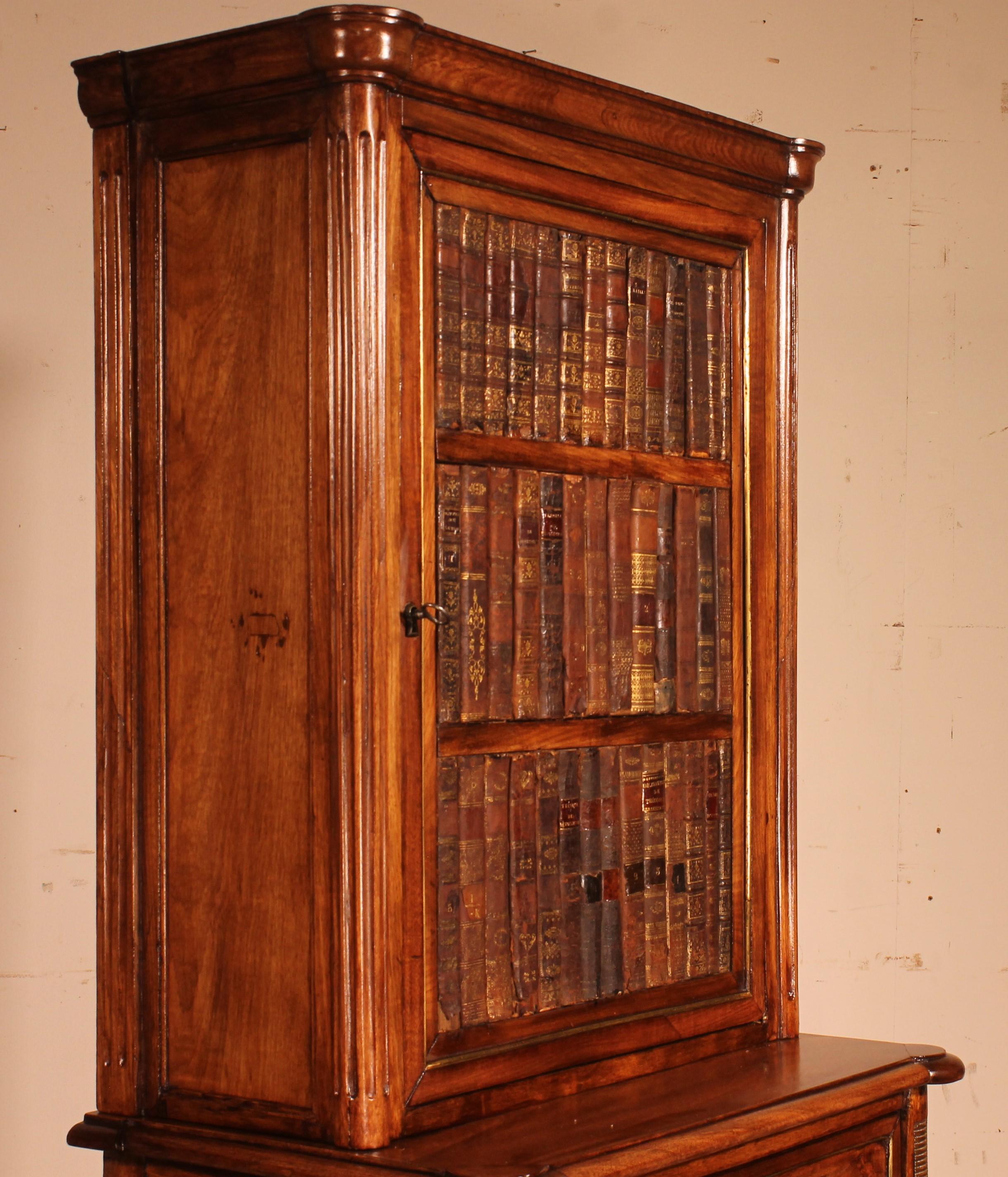 Louis XVI Library Cabinet, 18th Century For Sale 9