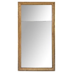 Louis XVI Rectangular Giltwood Wall Mirror