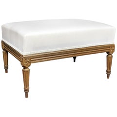 Louis XVI Style Beechwood Bench
