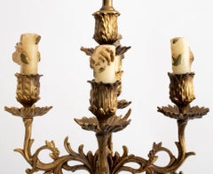 Louis XVI Style Bronze Candelabra Mounted as Lamp