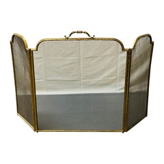 Louis XVI Style Bronze Fire Screen, 19th/20th Century, Mesh