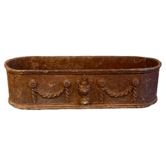 Louis XVI Style Cast Iron Oval Planter, Late 19th Century