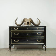 Louis XVI Style Ebonised Bureau/Commode