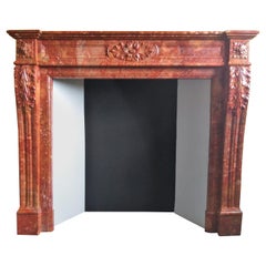 19th Century Louis XVI-Style Fireplace in Brèche Sanguine Marble