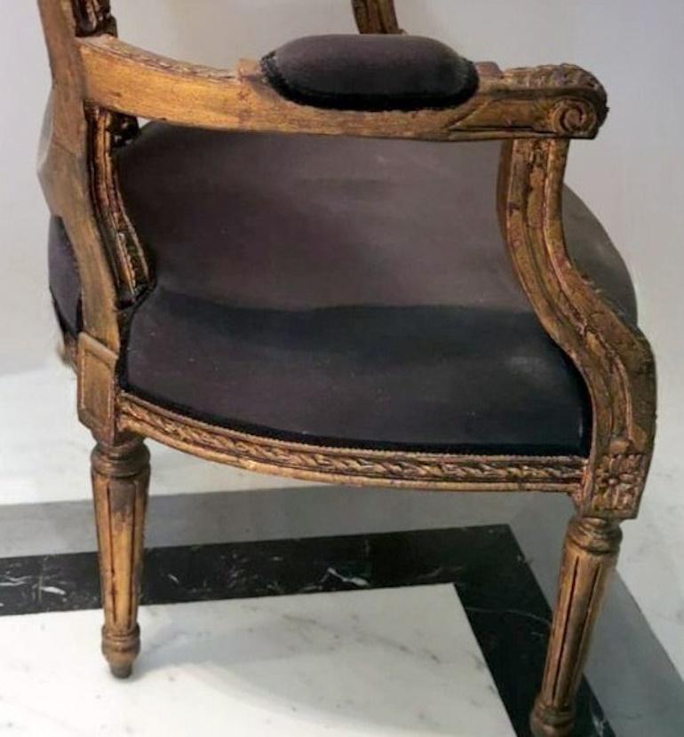 Louis XVI Style French Chair With Arms And Back In Vienna Straw 13