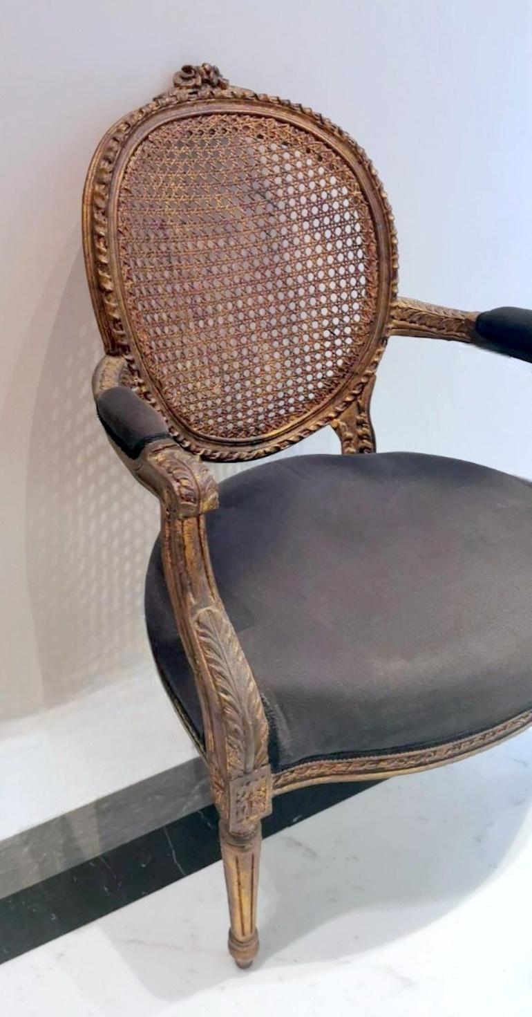 Louis XVI Style French Chair With Arms And Back In Vienna Straw 3