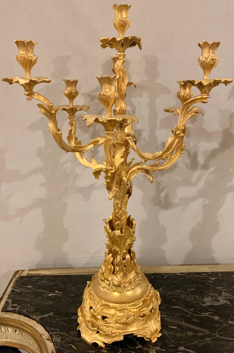 Louis XVI Style French Dore Bronze Fancy Candelabra, a Pair For Sale 9