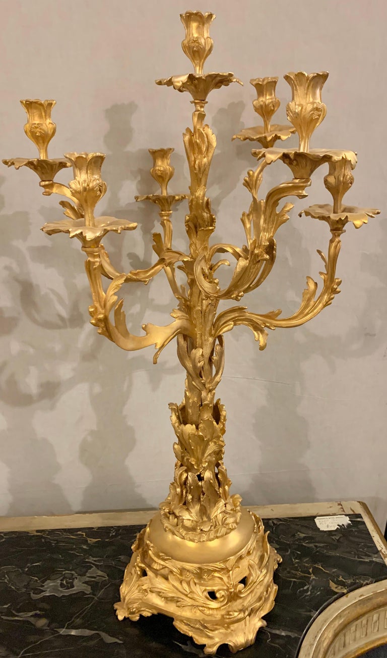 Louis XVI style French dore bronze fancy candelabra. A pair of nicely case bronze candelabra of leaf and tree form having their original structure. This pair can easily be wired and mounted as lamps.

Greg
hSXA/EAAX.