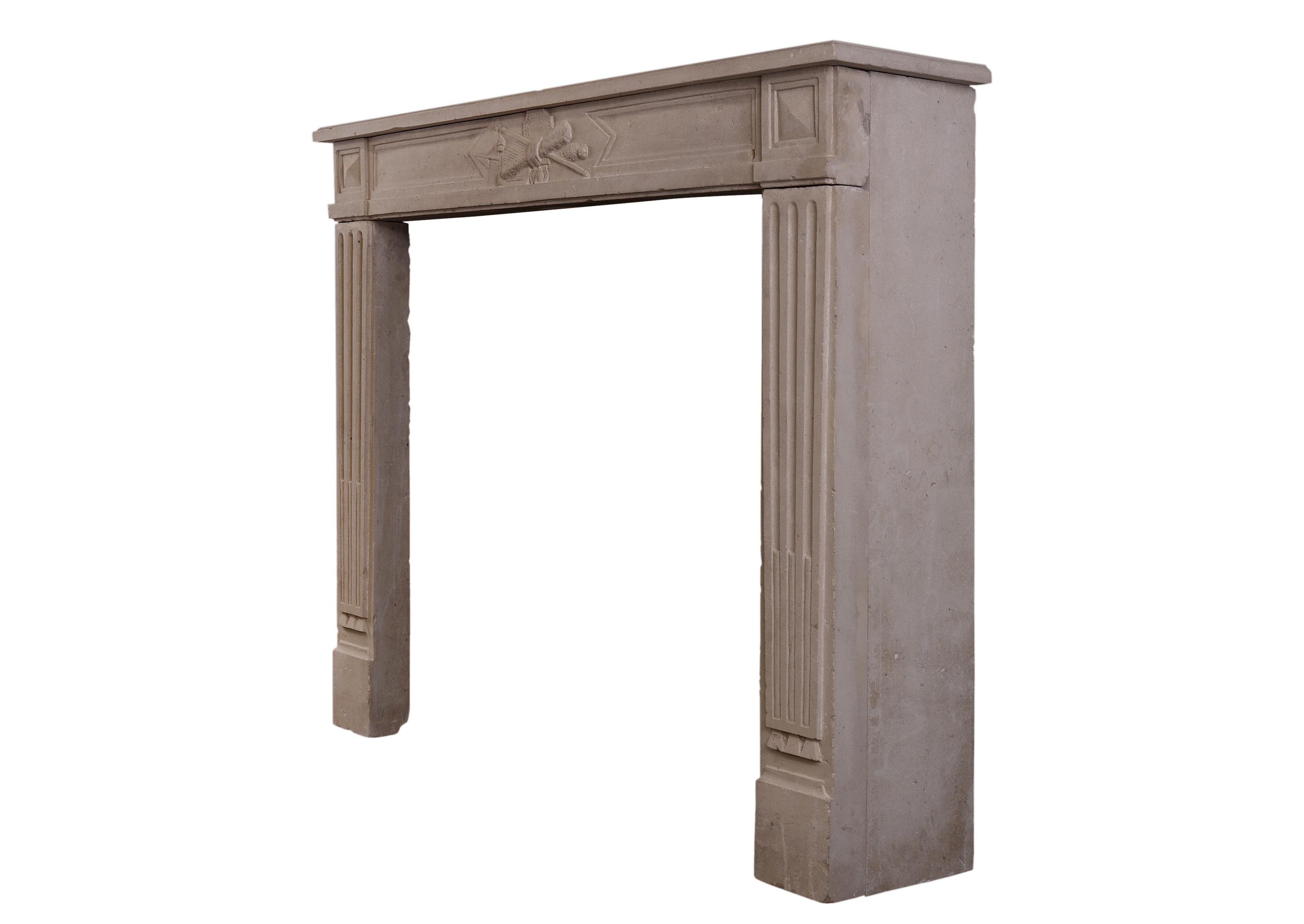 19th Century Louis XVI Style French Limestone Antique Fireplace For Sale