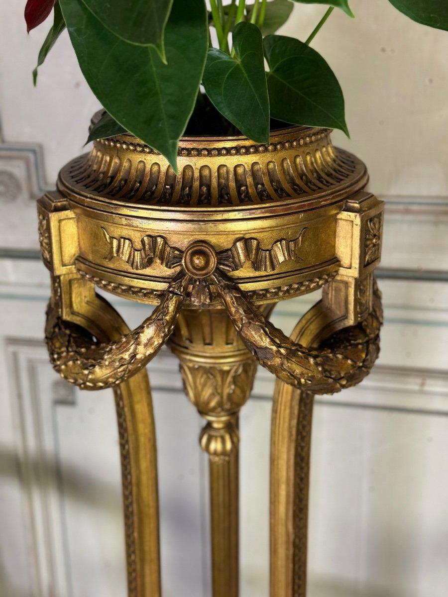 Français Jardinière de style Louis XVI en bois sculpté et doré vers 1900 en vente