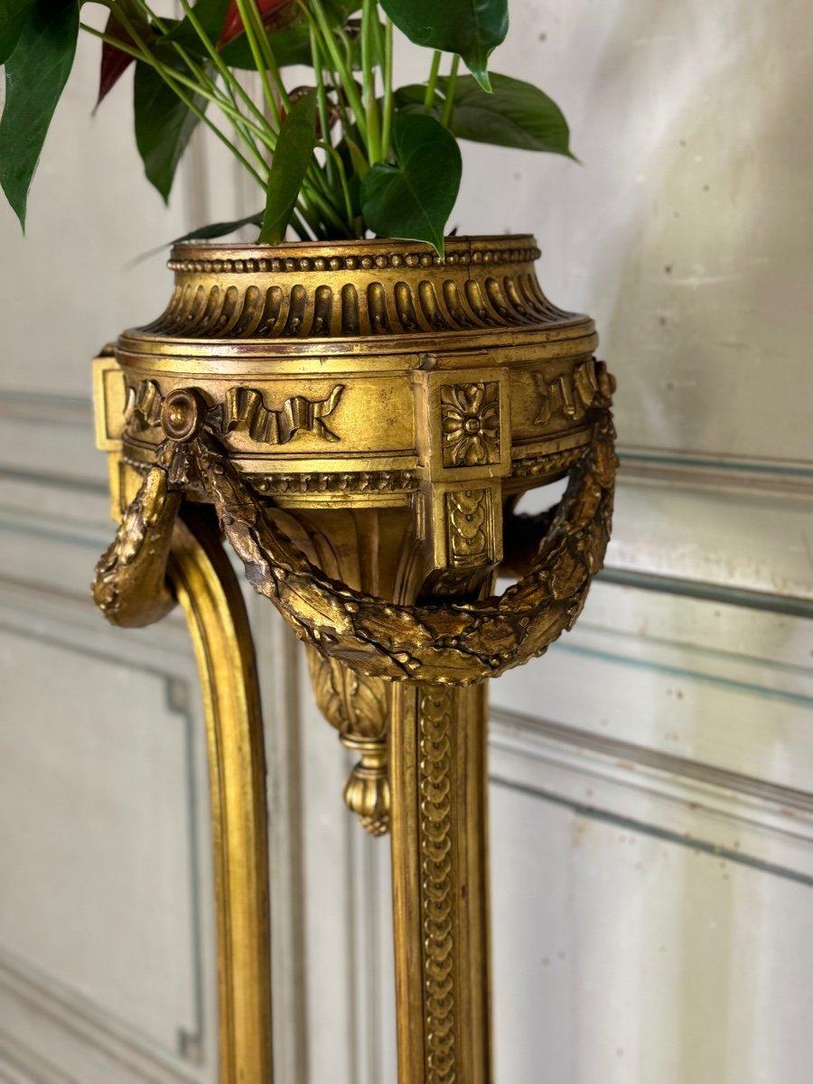 Jardinière de style Louis XVI en bois sculpté et doré vers 1900 en vente 1