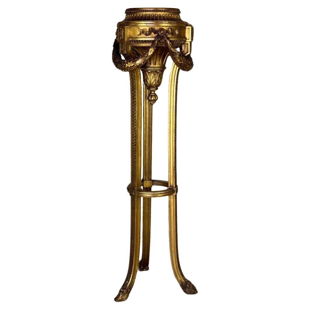 Jardiniere in legno intagliato e dorato in stile Luigi XVI Circa 1900