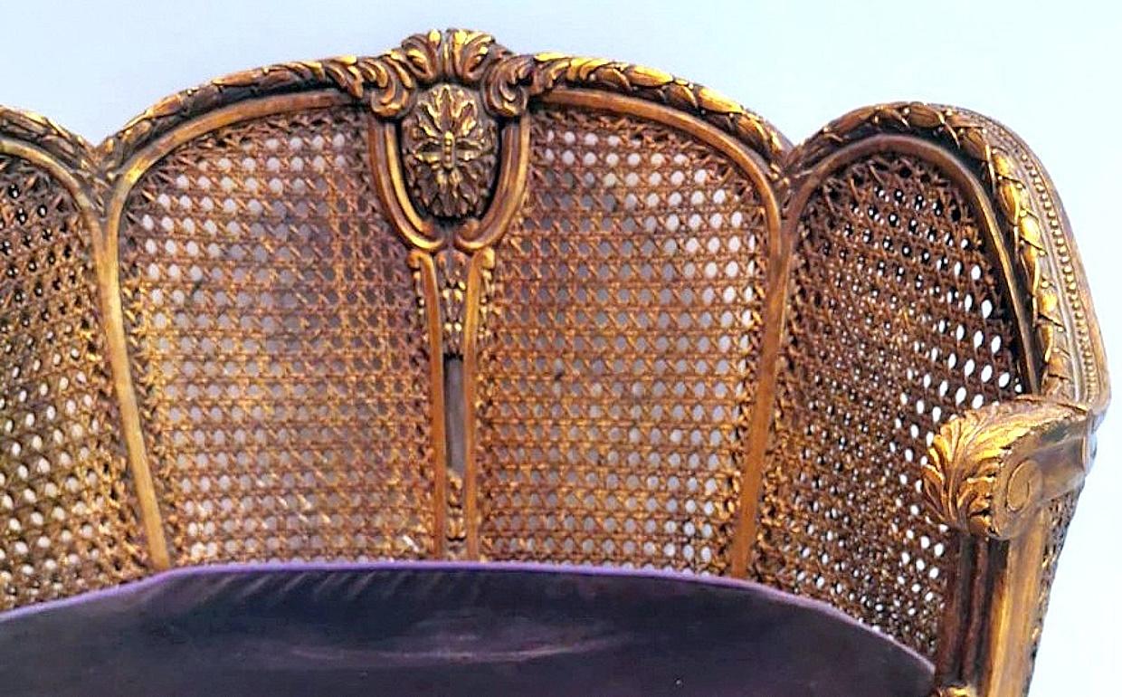 Louis XVI Style Large French Chair Vienna Straw Seat And Back. For Sale 11