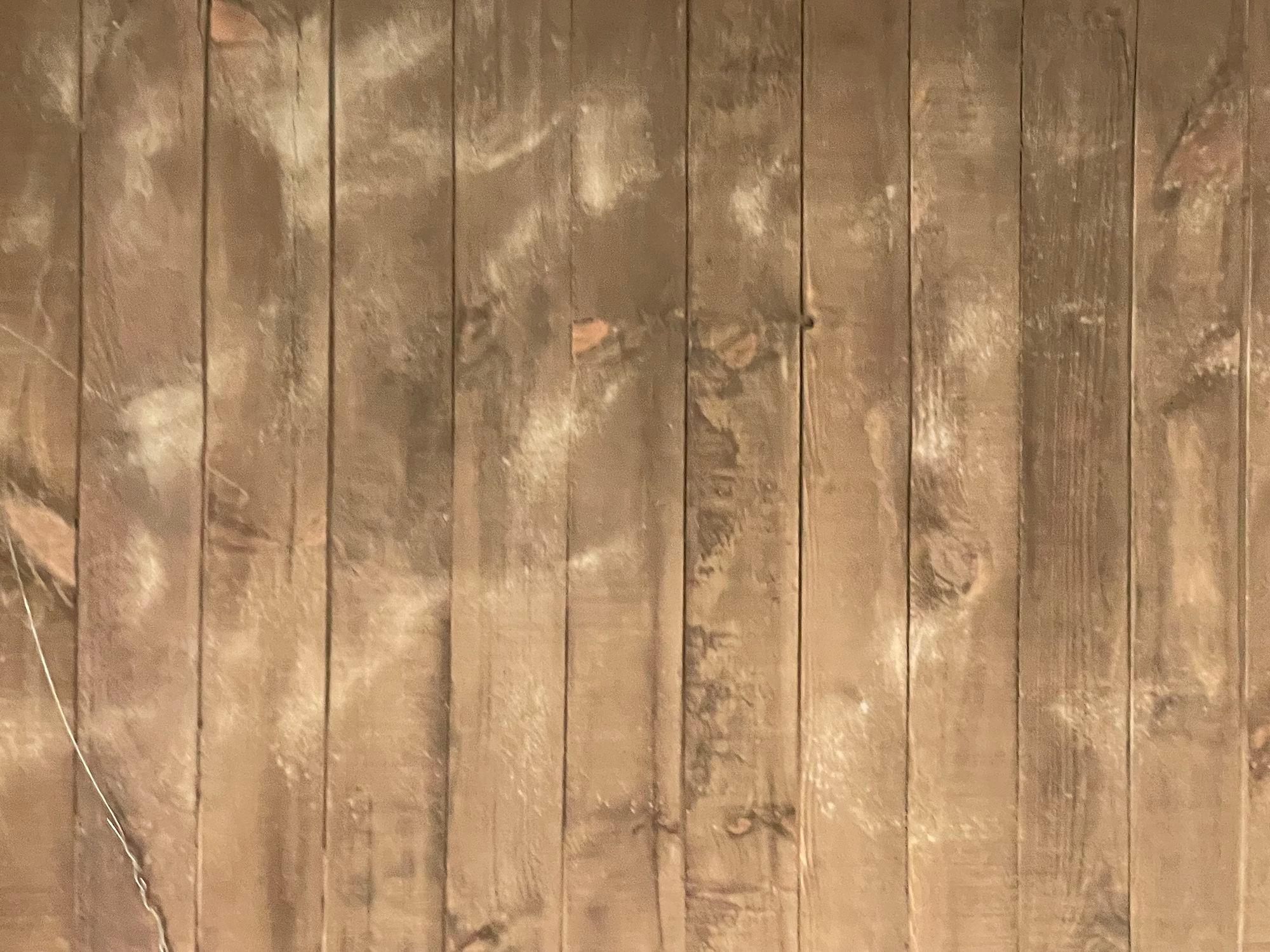 Specchio da parete o da pavimento di grandi dimensioni in stile Luigi XVI, legno dorato, gesso, Europa, XIX secolo. in vendita 10