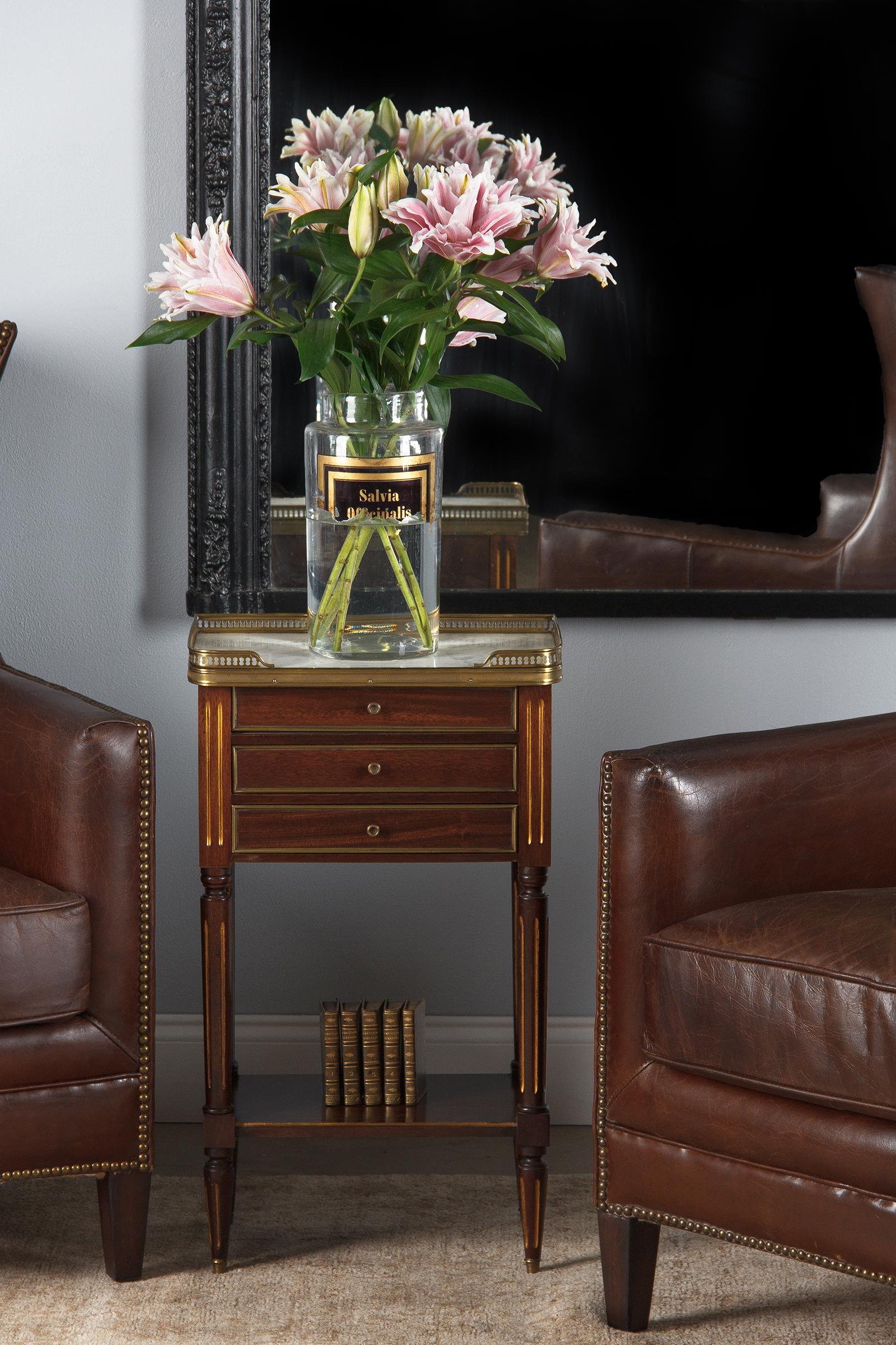 Louis XVI Style Mahogany and Marble-Top Bedside Cabinet, 1920s 2