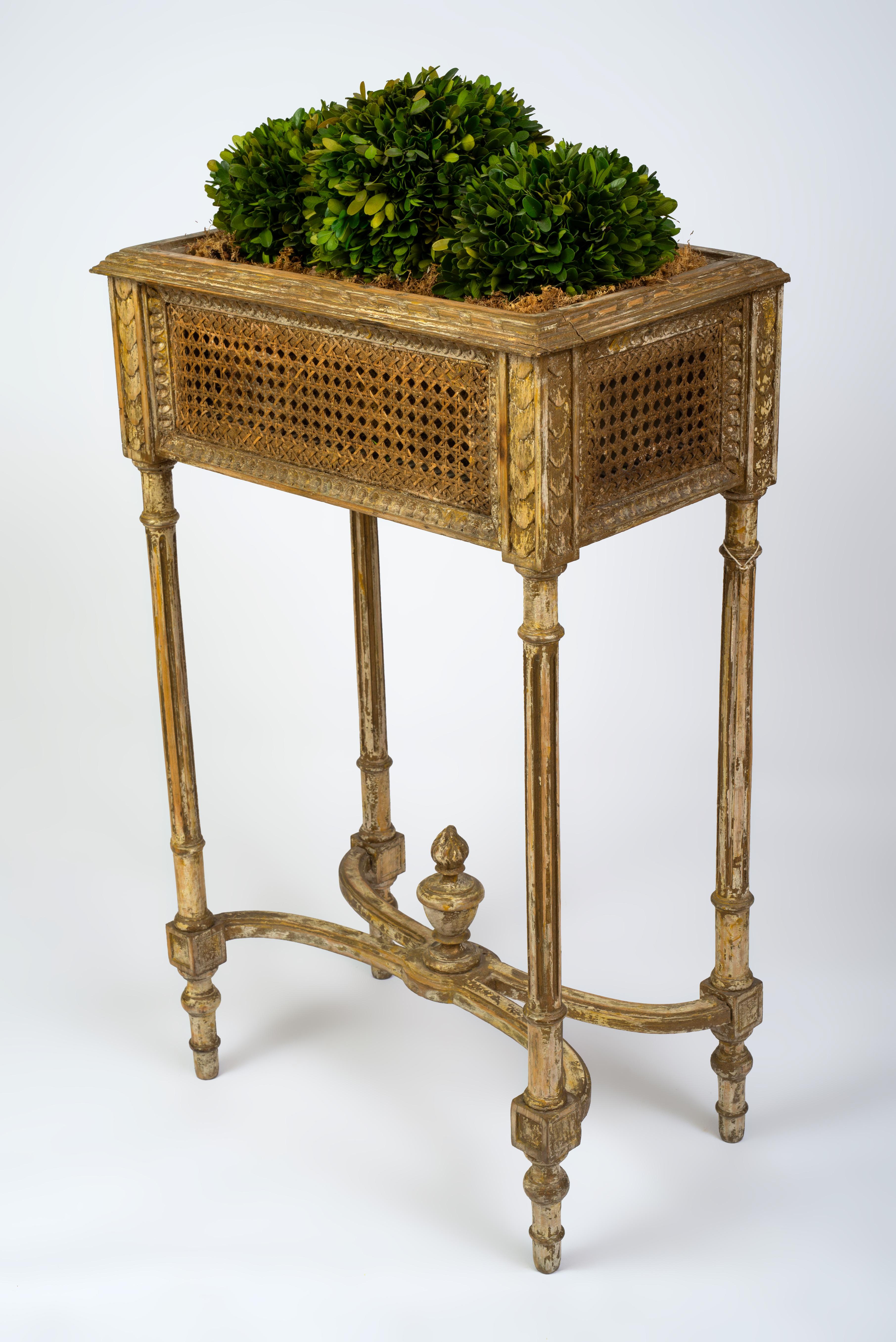 The rectangular caned body above fluted legs joined by a stretcher centered by a flame finial. Filled with faux moss and shrubbery. Height of the planter without the plants is 32in; with the plants, it is approximately 37in.