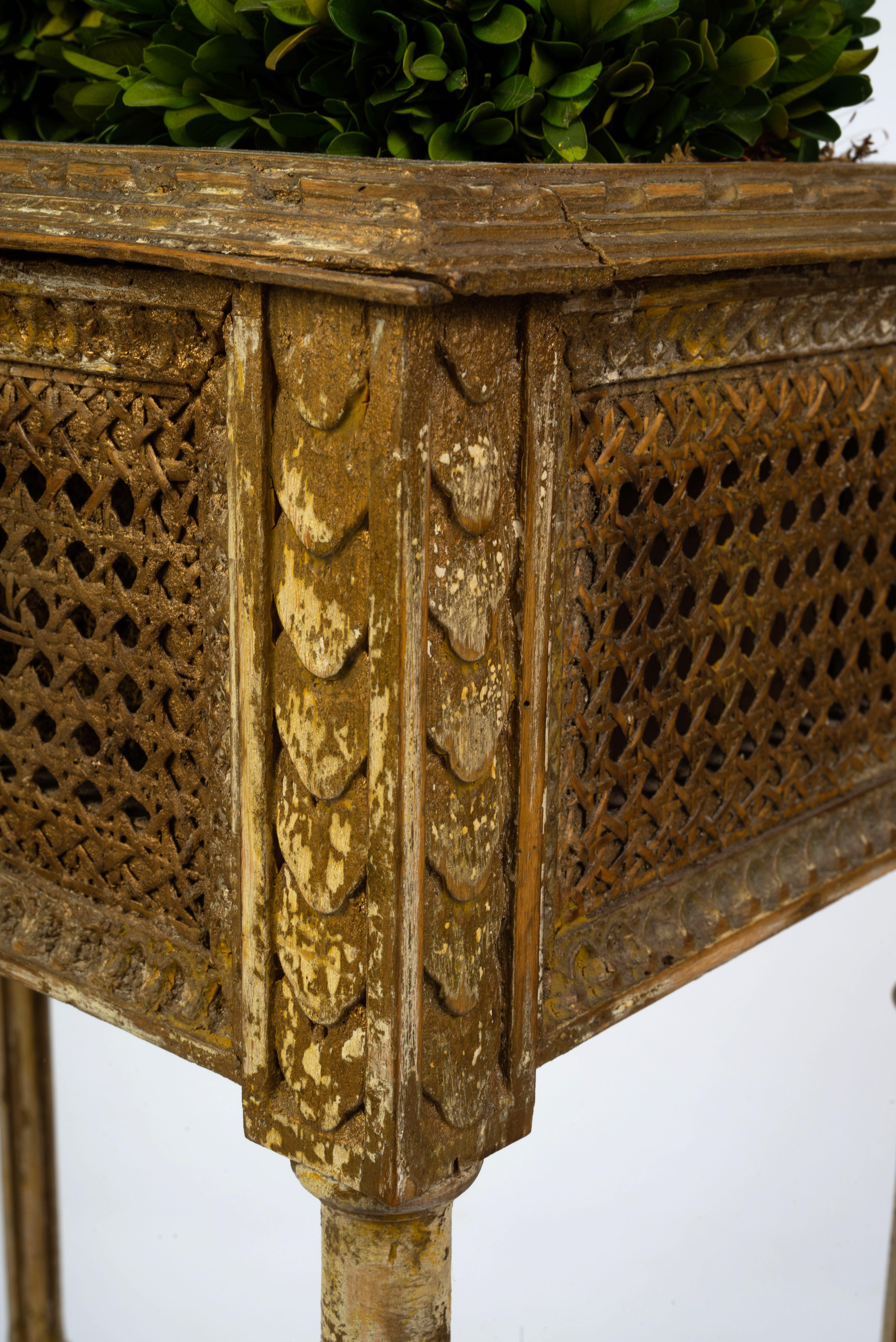 Belle Époque Louis XVI Style Planter