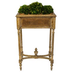 Antique Louis XVI Style Planter