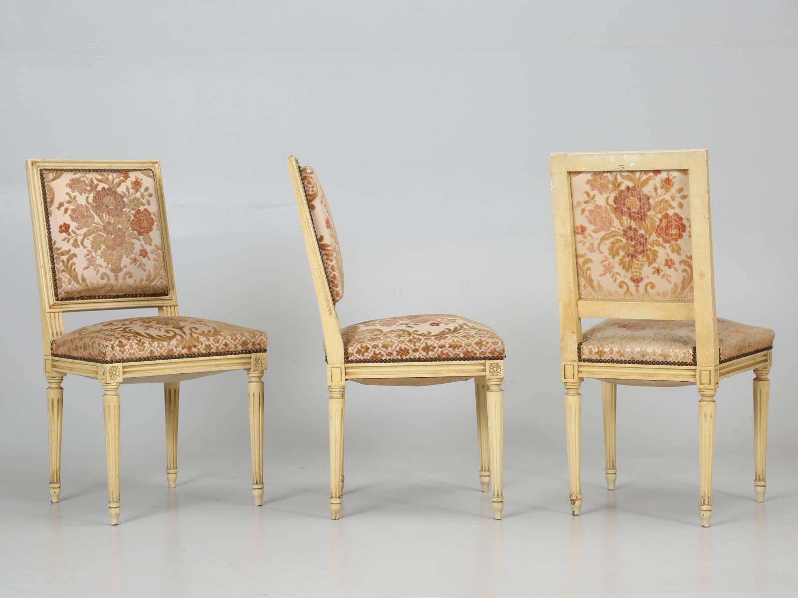 Louis XVI Style Set of Eight French Dining Chairs, circa 1950s  5