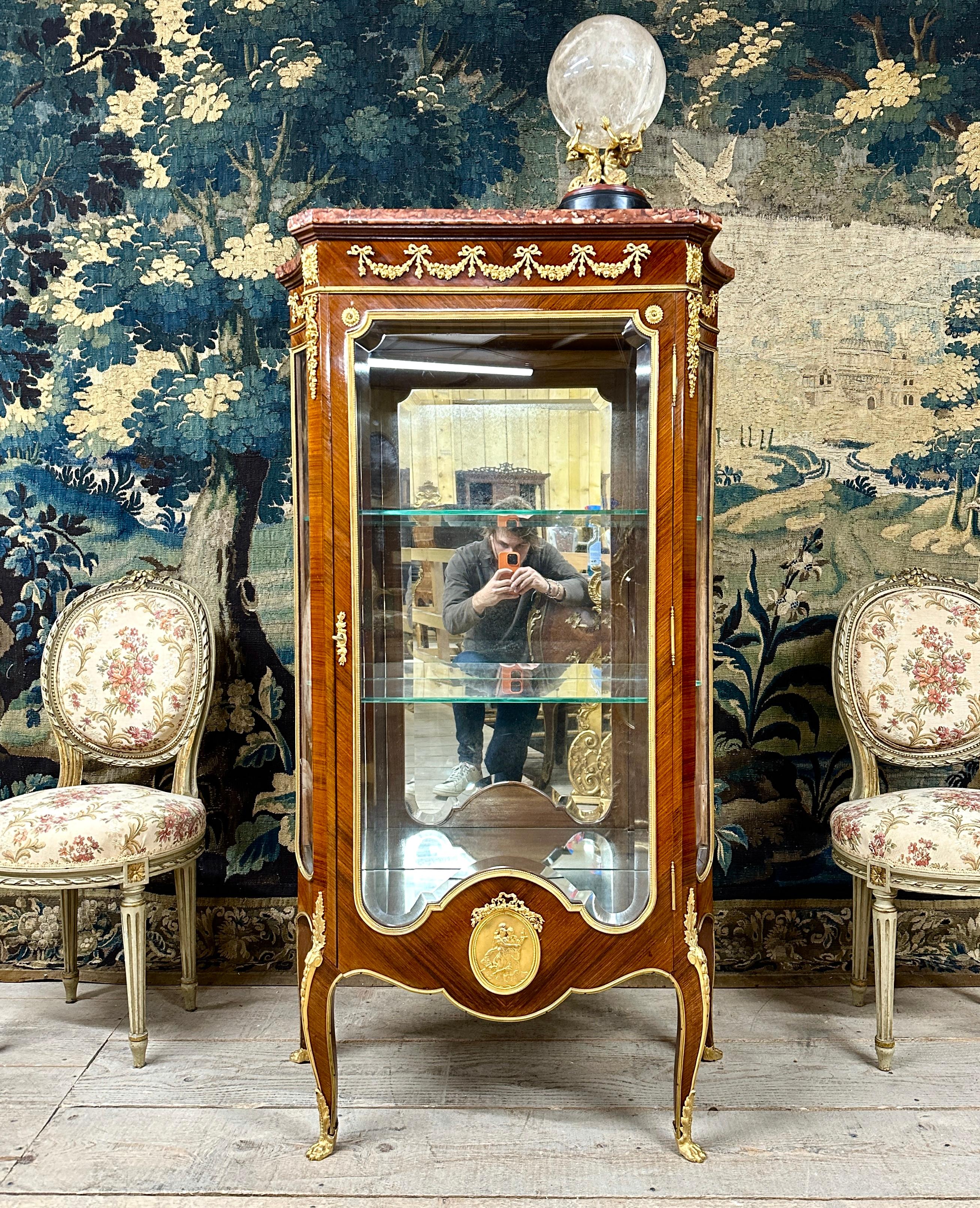 French Louis XVI Style Showcase in Violet Wood and Gilt Bronzes, Napoleon III Period