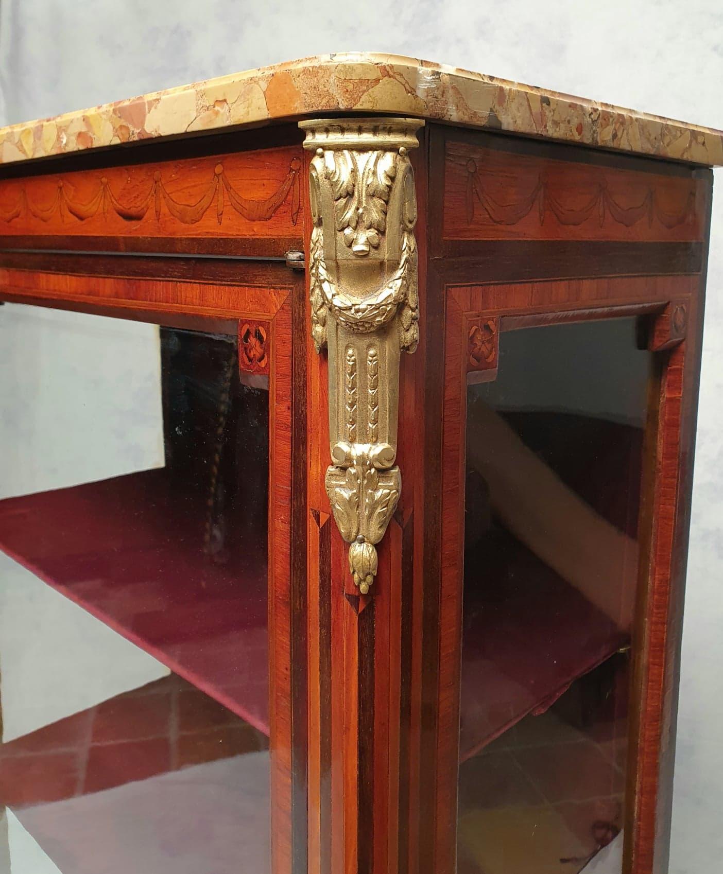 Louis XVI Style Showcase, Marquetry, Amaranth & Rosewood, 19th For Sale 4