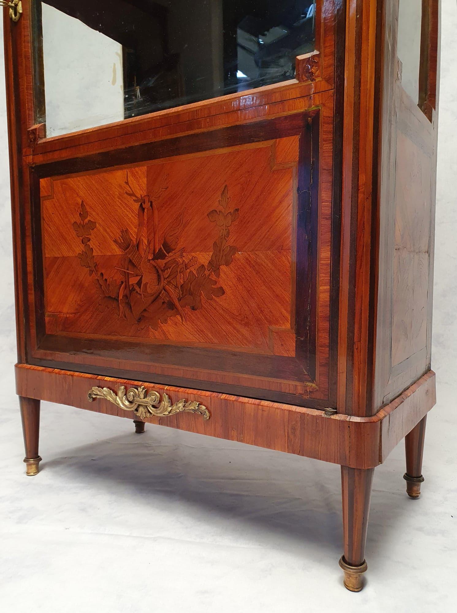 Louis XVI Style Showcase, Marquetry, Amaranth & Rosewood, 19th For Sale 2