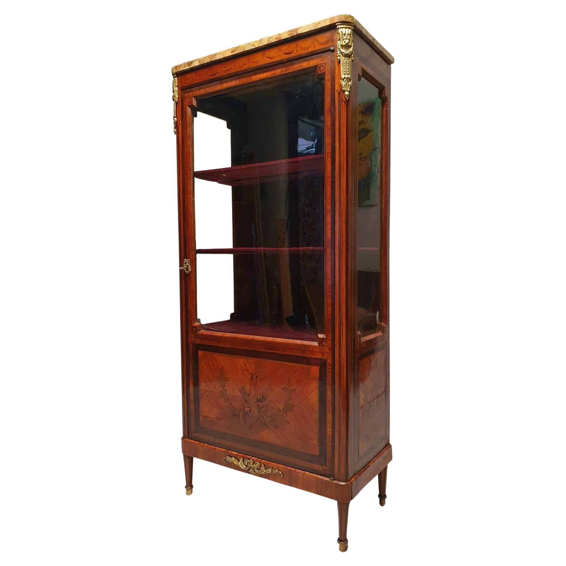 Louis XVI Style Showcase, Marquetry, Amaranth & Rosewood, 19th For Sale