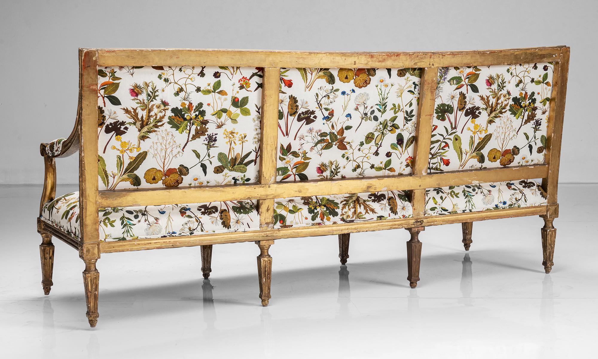 Gold Leaf Louis XVI Style Sofa in Cotton Linen from House of Hackney, France circa 1880