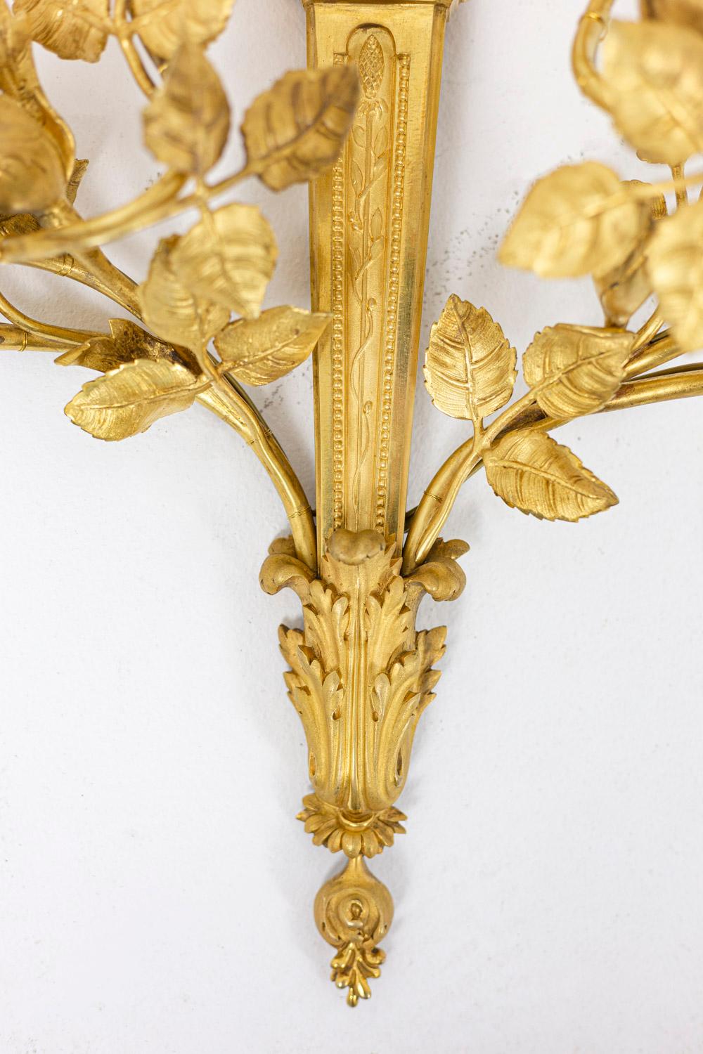 Louis XVI Style Wall Sconces in Gilt Bronze, 20th Century 1