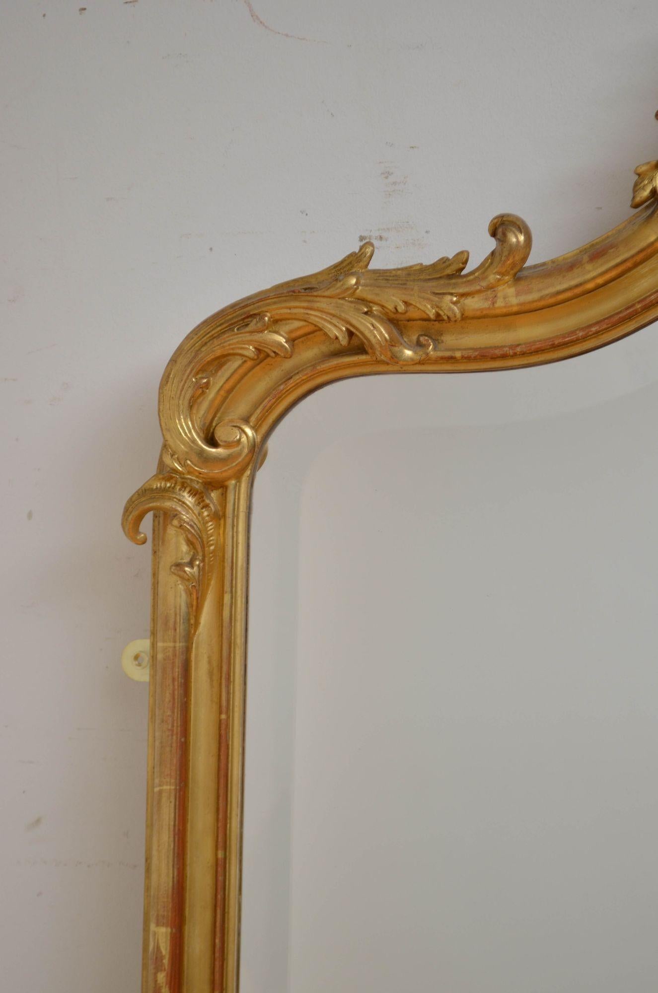 Gesso Miroir français ancien de style Louis XVe, H185 cm en vente