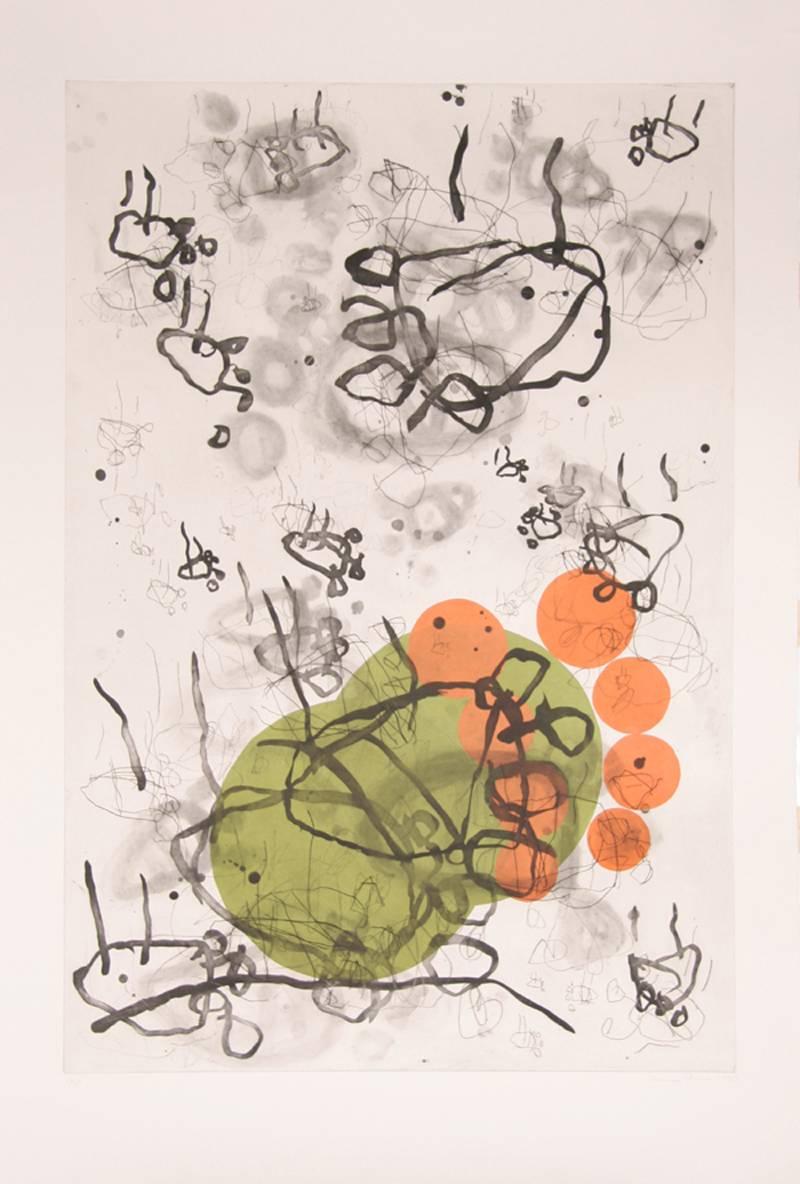 Artiste : Louisa Chase
Titre : Sans titre (Pieds)
Année :	1990
Moyen :	Gravure et Chine Colle, Signé et numéroté au crayon
Edition :	30
Taille du papier : 50.5 x 35 in. (128,27 x 88,9 cm)