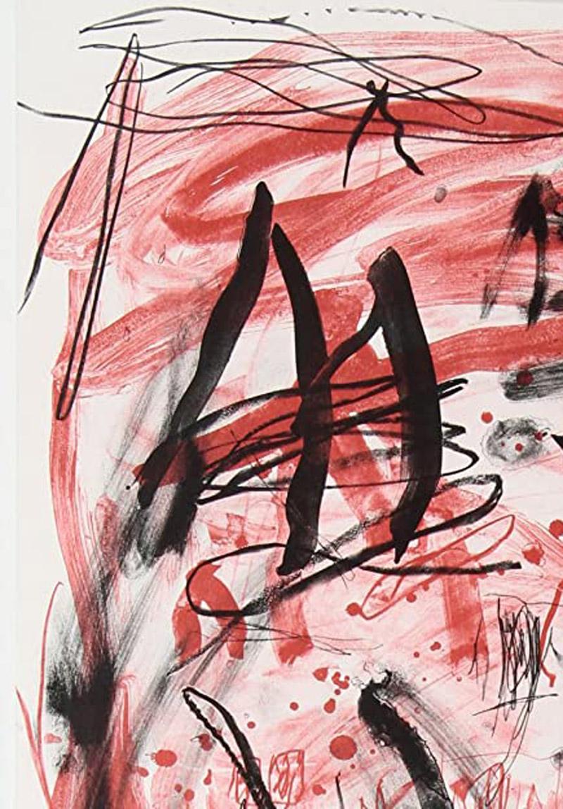 Red Mountain - Print by Louisa Chase