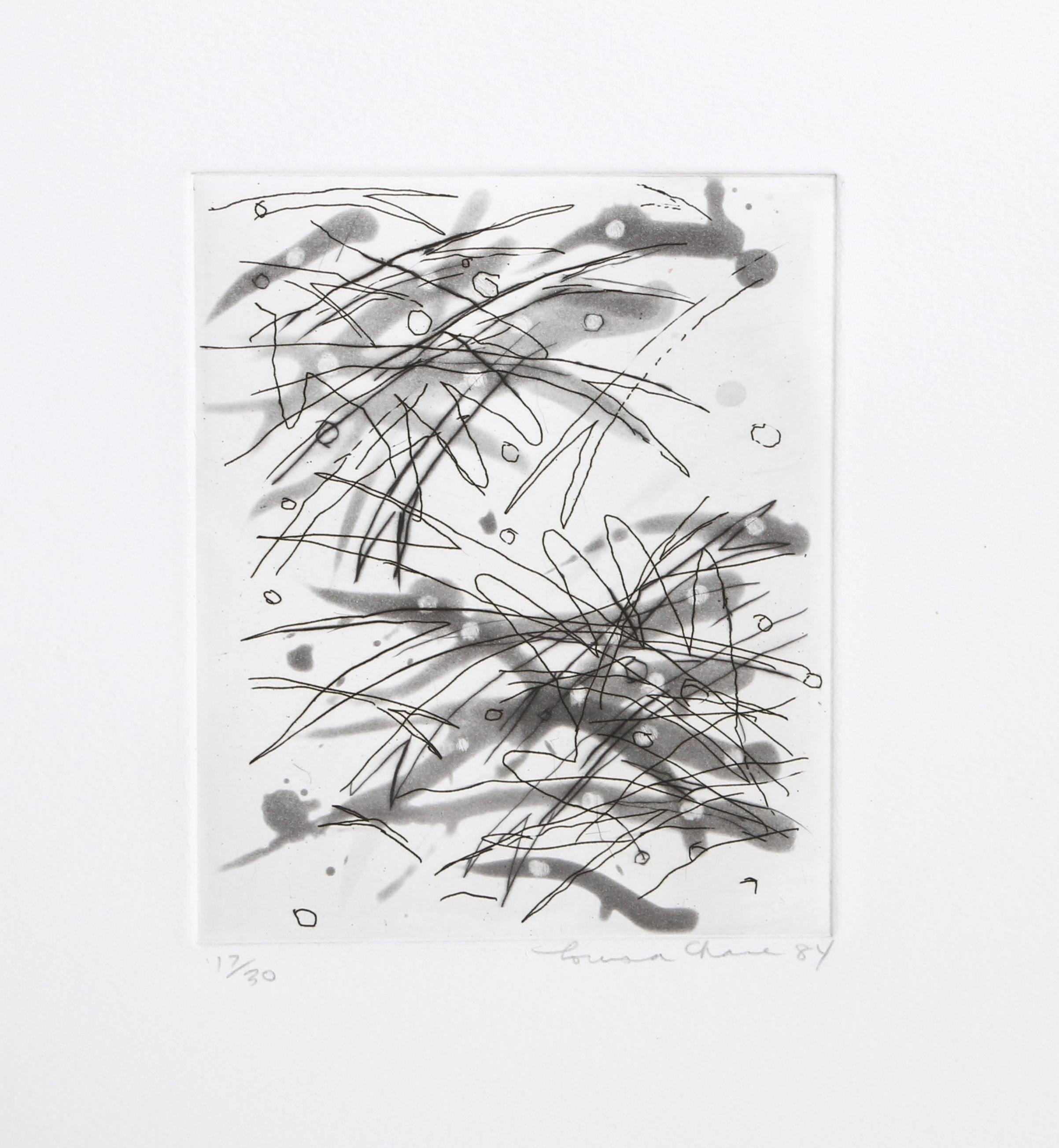 Six Etchings, Abstract Print Portfolio by Louisa Chase For Sale 7