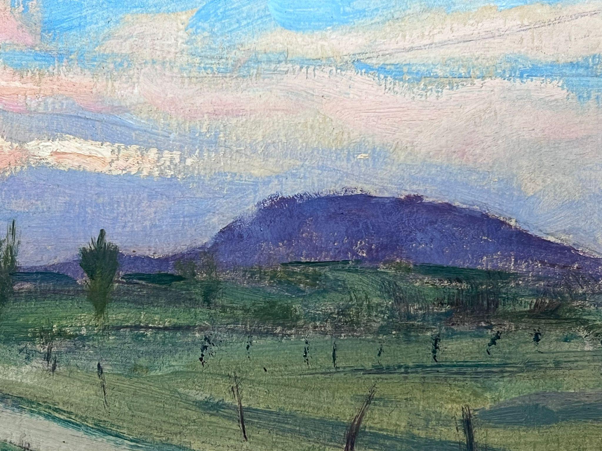 Huile impressionniste française des années 1930 Montagnes violettes Chemin côtier vert - Impressionnisme Painting par Louise Alix