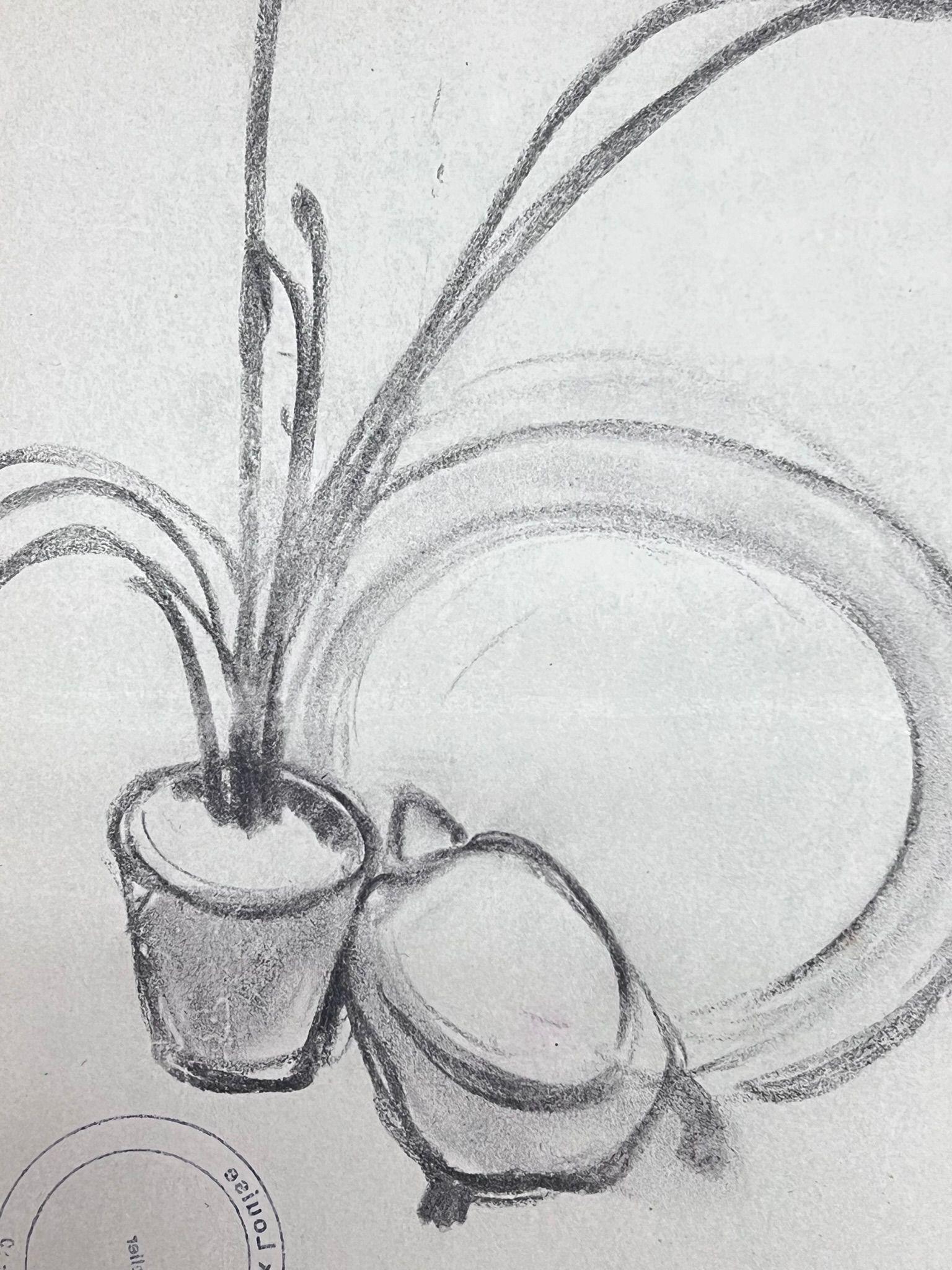 French Impressionist Aloe Vera Plant Interior Pencil Sketch - Painting by Louise Alix