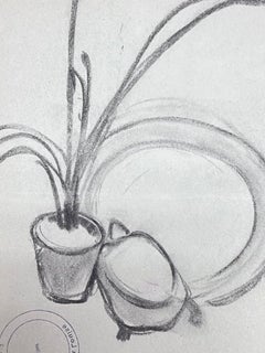 French Impressionist Aloe Vera Plant Interior Pencil Sketch