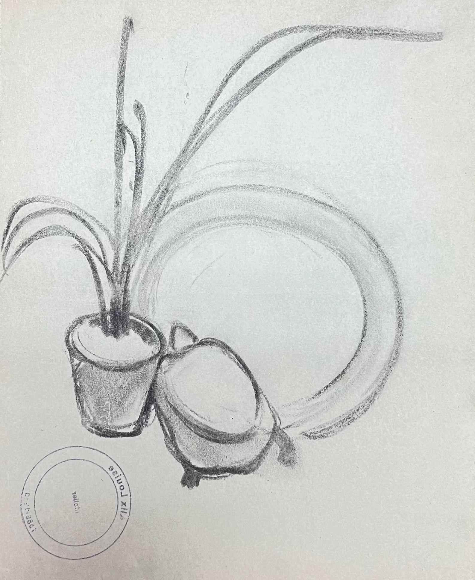 French Impressionist Aloe Vera Plant Interior Pencil Sketch - Gray Interior Painting by Louise Alix