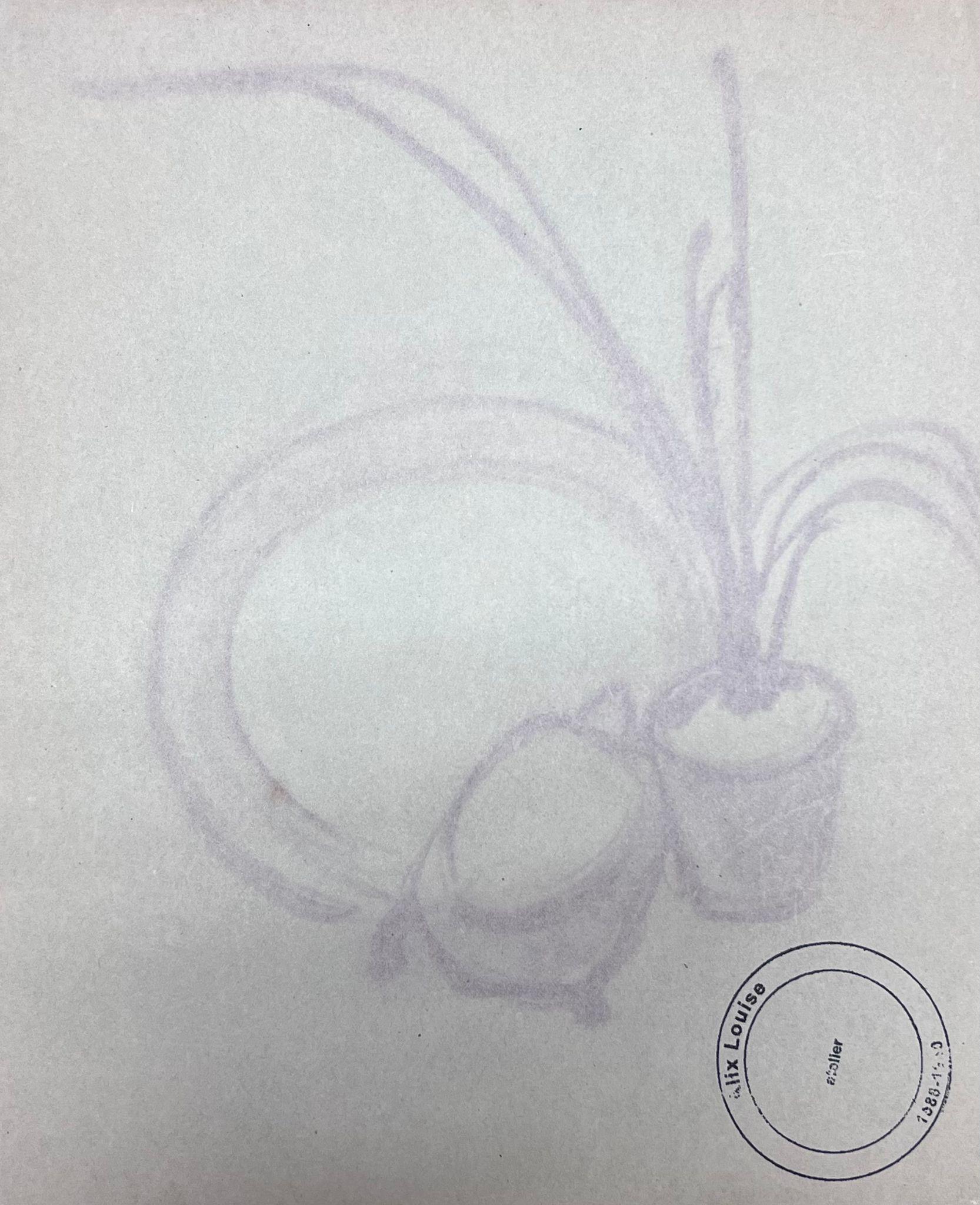 French Impressionist Aloe Vera Plant Interior Pencil Sketch For Sale 1