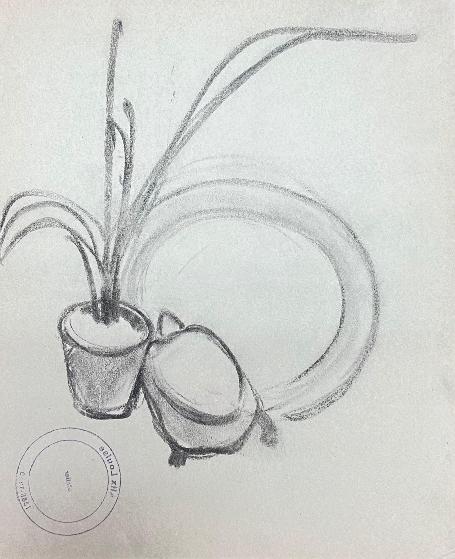 French Impressionist Aloe Vera Plant Interior Pencil Sketch